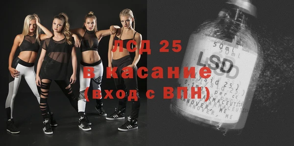 прущие грибы Абаза