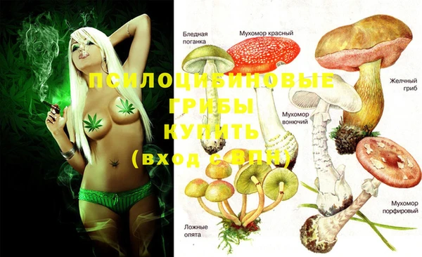 гидропоника Абдулино