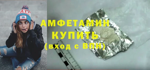 прущие грибы Абаза