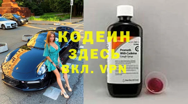 прущие грибы Абаза