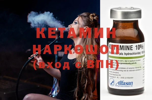 прущие грибы Абаза