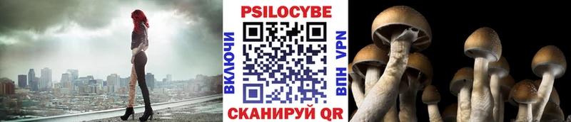 купить наркотик Чекалин Псилоцибиновые грибы Magic Shrooms