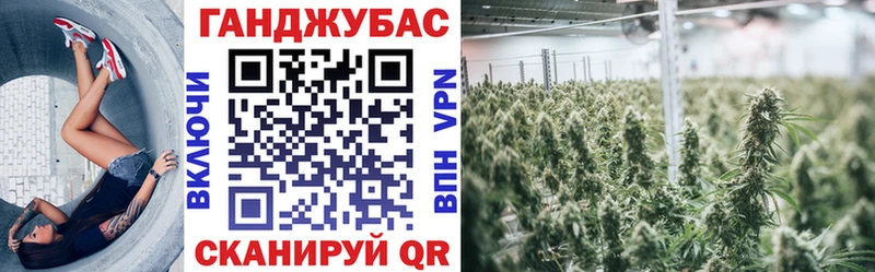 Бошки марихуана план  Чекалин 